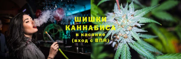 ГАЛЛЮЦИНОГЕННЫЕ ГРИБЫ Аркадак