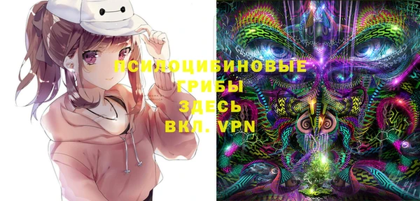ГАЛЛЮЦИНОГЕННЫЕ ГРИБЫ Аркадак