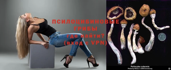 ГАЛЛЮЦИНОГЕННЫЕ ГРИБЫ Аркадак