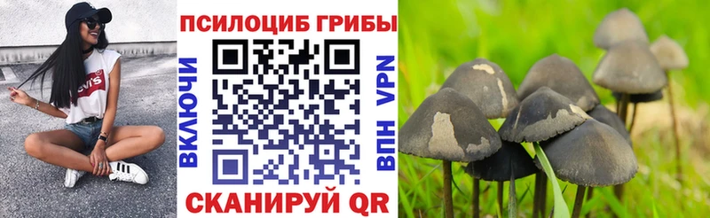 Галлюциногенные грибы прущие грибы Серафимович