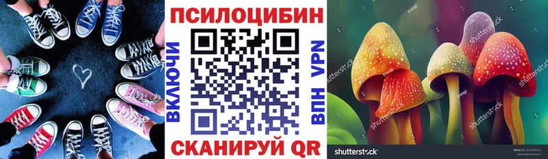 Псилоцибиновые грибы Cubensis  Серафимович 